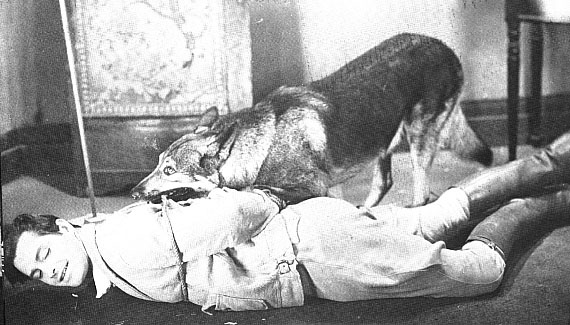 Kane_Richmond--Rex_and_Rinty