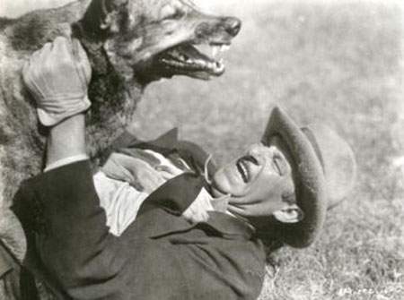 Al Bridge--Rex and Rinty