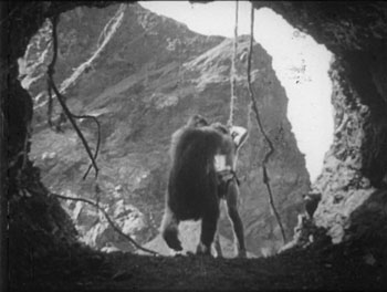 Call of the Savage gorilla attack