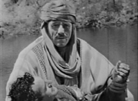 Kenneth MacDonald--Desert Hawk