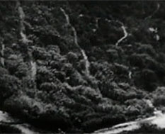 Valley of Vanishing Men--ladder 3