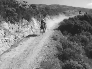 Haunted Harbor--trails