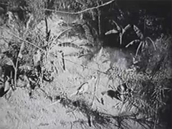 Fighting Marines--battle 2