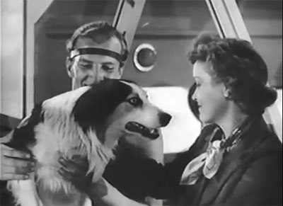 Hawk of the Wilderness--final