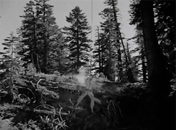 Hawk of the Wilderness--Mammoth Lakes 1