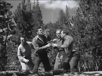 Hawk of the Wilderness--Mammoth Lakes 3