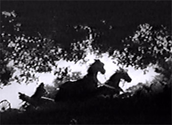 Deadwood Dick--buckboard