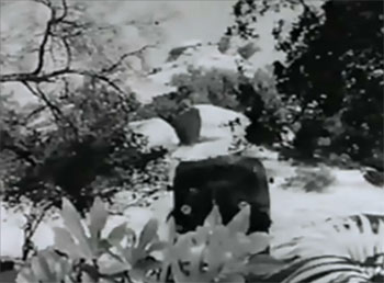 Jungle Drums of Africa--jungle shot 2