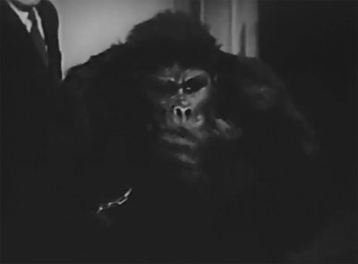 Monster and the Ape--last