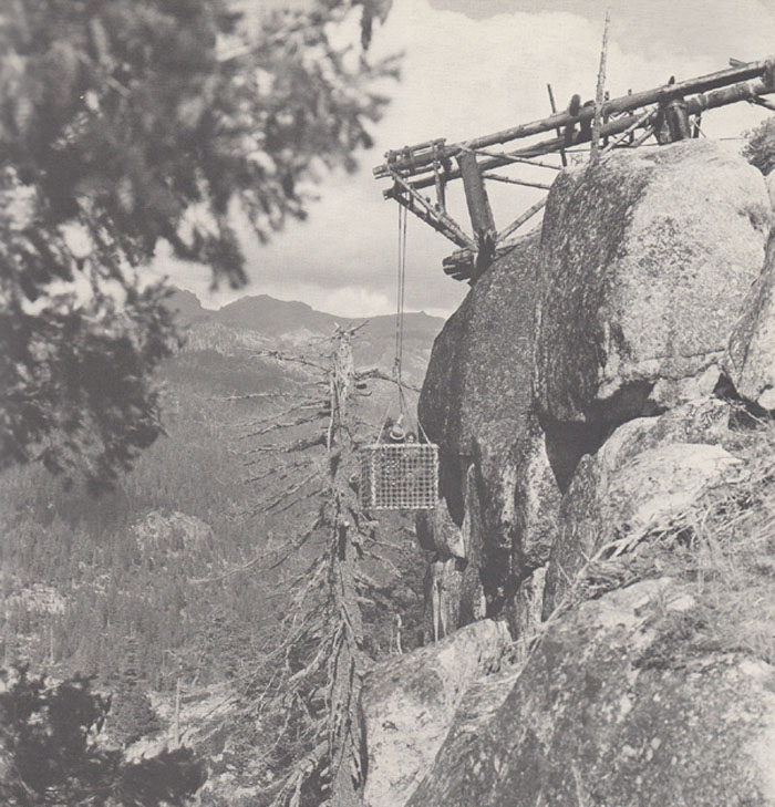 Scouts to the Rescue--elevator sequence