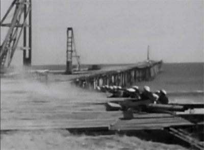 SOS Coast Guard--kelp plant assault