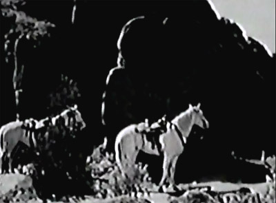 The Vigilante--horses