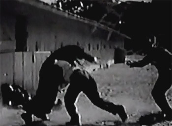 The Vigilante--stable yard