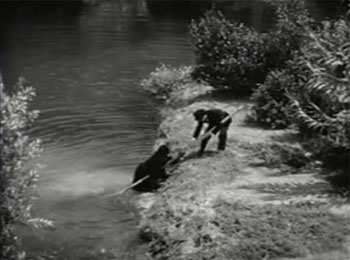 Green Hornet Strikes Again--aftermath