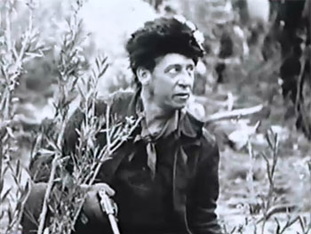 Vigilantes Are Coming--Raymond Hatton