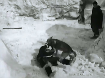 Canadian Mounties vs. Atomic Invaders--dog attack 2