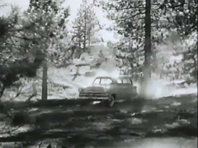 Canadian Mounties vs. Atomic Invaders--forest