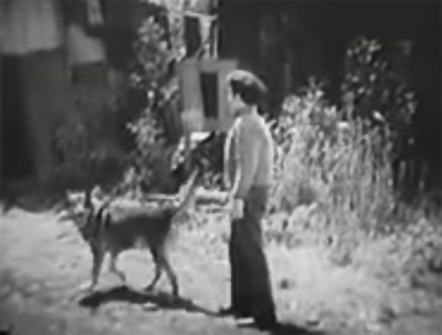 Radio Patrol--Pinky and Irish