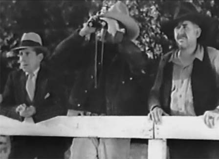 Ernie Adams--the Law of the Wild