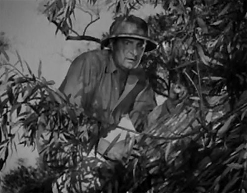 Bryant Washburn--Jungle Jim