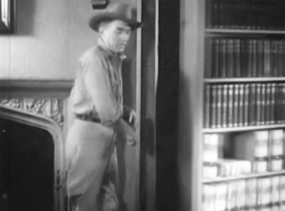 Vanishing Legion--unveiling of Voice