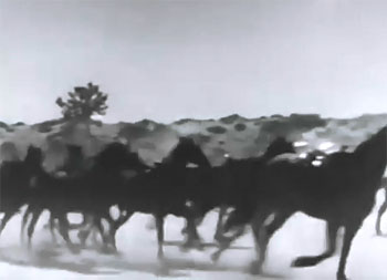 Zombies of the Stratosphere--Coronado horses