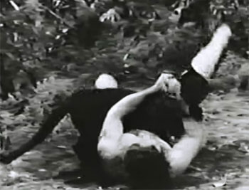 King of the Congo--panther fight