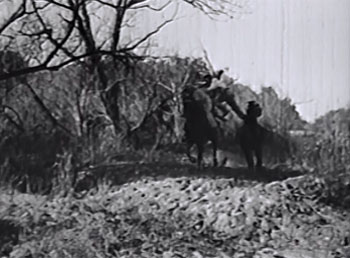 King of the Wild--horse jump