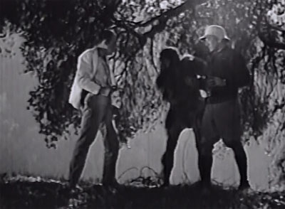 King of the Wild--last