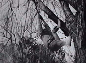 King of the Wild--vine swing