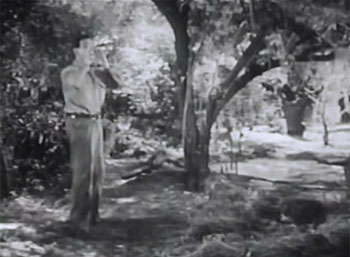 Mystery of the Riverboat--swamp 1