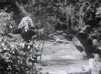 Mystery of the Riverboat--swamp 2