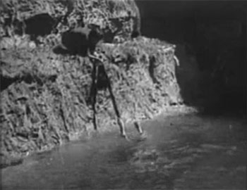 Sea Raiders--pulled under by octopus