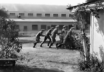 Blackhawk--this is why we need guns 2