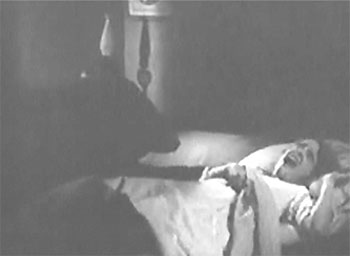 Mystery Trooper--bear 2