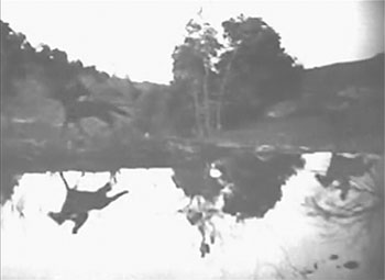 Mystery Trooper--dog-horse chase 2