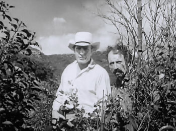 Jungle Girl--Geary and Taylor