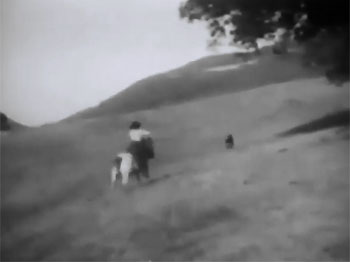 Lone Defender--over the hills