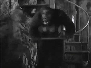 Darkest Africa--Bonga rushes to the rescue