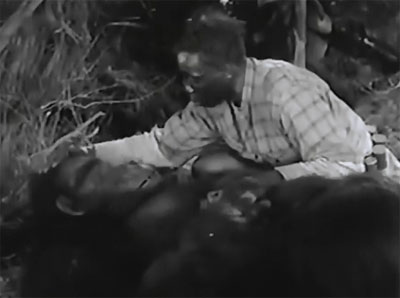 Darkest Africa--Hambone helps Bonga