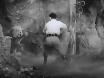 Darkest Africa--lion 2