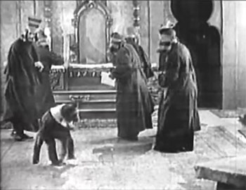 Queen of the Jungle--chimpanzee