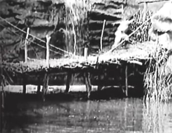 Queen of the Jungle--lion-elephant-bridge 1