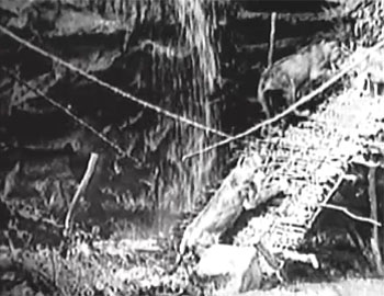 Queen of the Jungle--lion-elephant-bridge 4