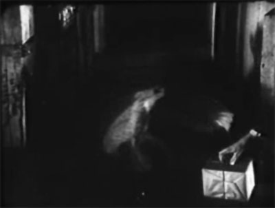 Whispering Shadow--jewel-snatching