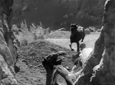 Robinson Crusoe of Clipper Island--Rex and Buck to the rescue