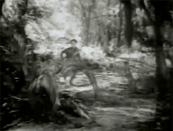 Young Eagles--jungle 2