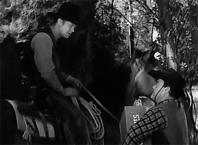 Zorro's Black Whip--Taliaferro and Merton