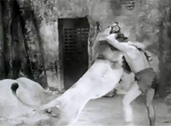 New Adventures of Tarzan--lion fight