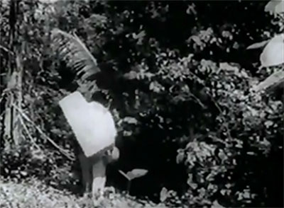 New Adventures of Tarzan--trudging